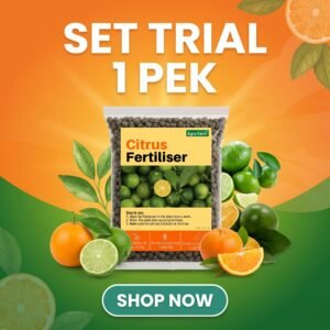 SET TRIAL